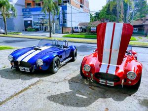 ford shelby cobra argentina