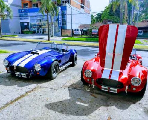 ford shelby cobra argentina