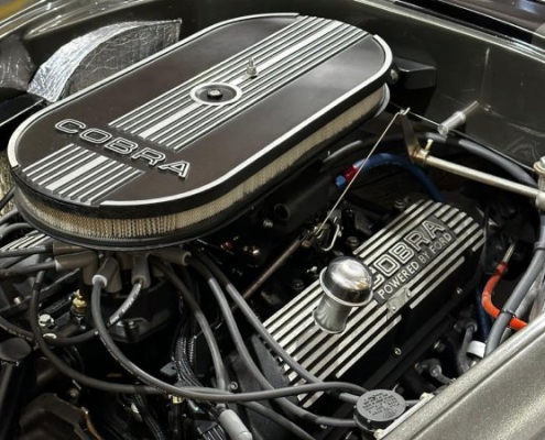 ford cobra argentino con motor V8